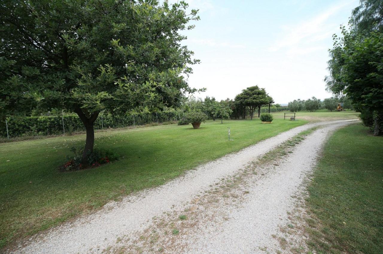 Podere Serena Castagneto Carducci Exterior photo